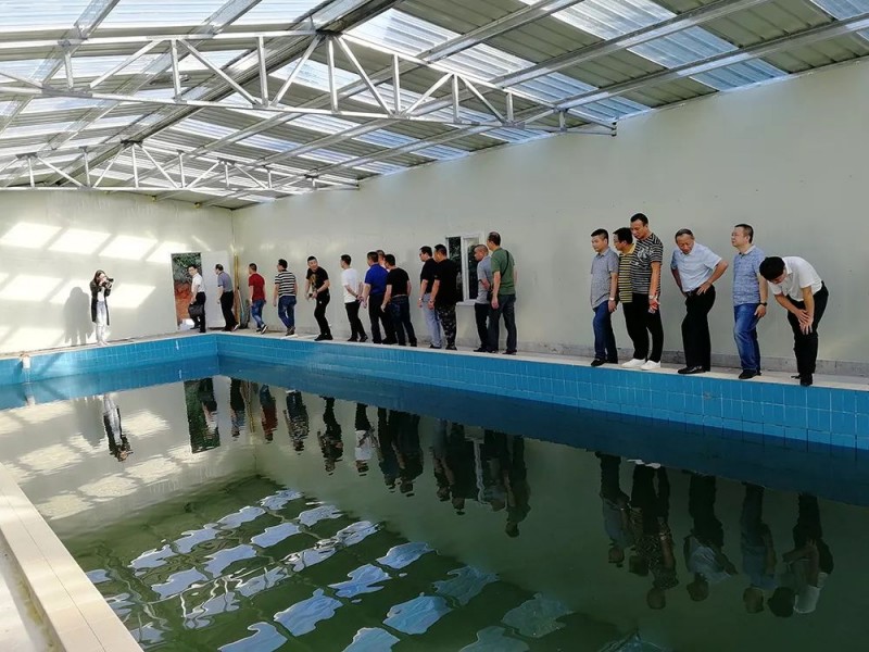 湖北麻城市委常委、統戰部部長戴昌遠一行考察交流富強石材綠色礦山經驗