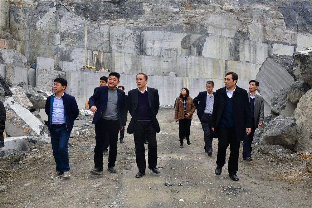 中國煤炭地質總局領導到廣西忻城（銀白龍大理石產地）考察石材產業