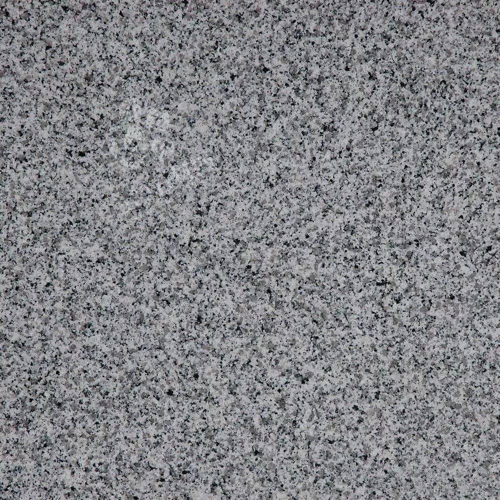 廉江市（廣東芝麻白、芝麻灰、浪花白產(chǎn)地）領(lǐng)導(dǎo)調(diào)研塘蓬鎮(zhèn)石材產(chǎn)業(yè)基地項(xiàng)目建設(shè)工作