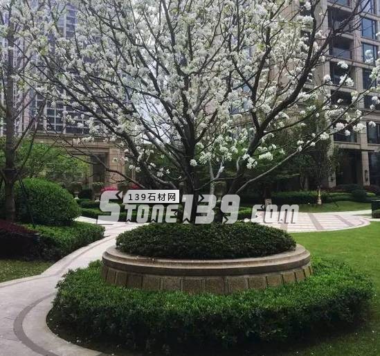 花崗巖石材樹池園藝環境石應用案例欣賞