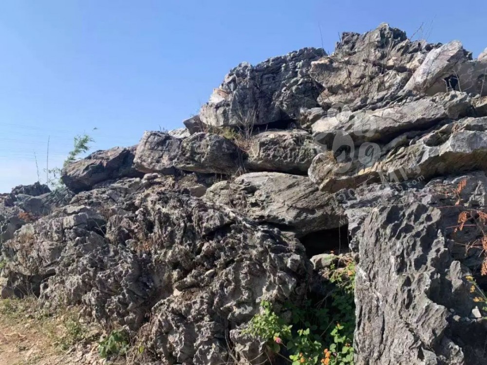 廣東英德石園林造景常用石材欣賞！