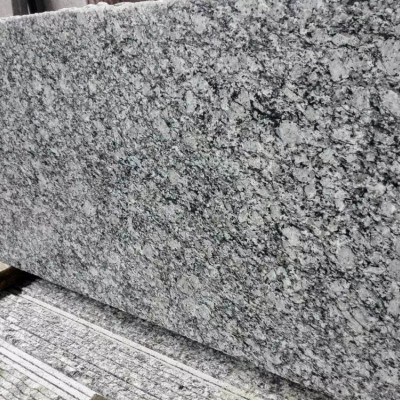 廣西浪花白批發 60頭毛板