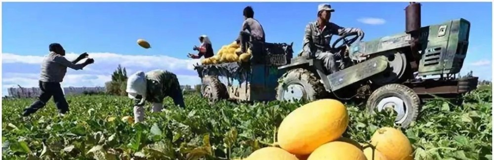 帶你領略大美新疆，附新疆產天然石材品種圖！