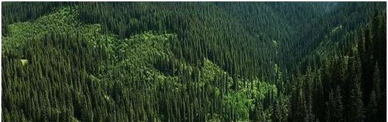 帶你領略大美新疆，附新疆產天然石材品種圖！