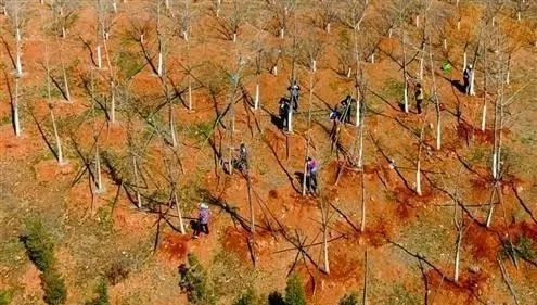 山東“濟南青石材”大理石平臺 為何日益珍貴？