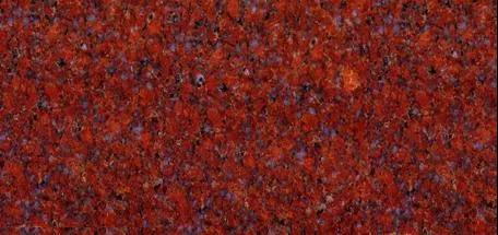 水頭市場“印度紅”遭瘋搶，搶不到也別慌，還有國產印度紅！