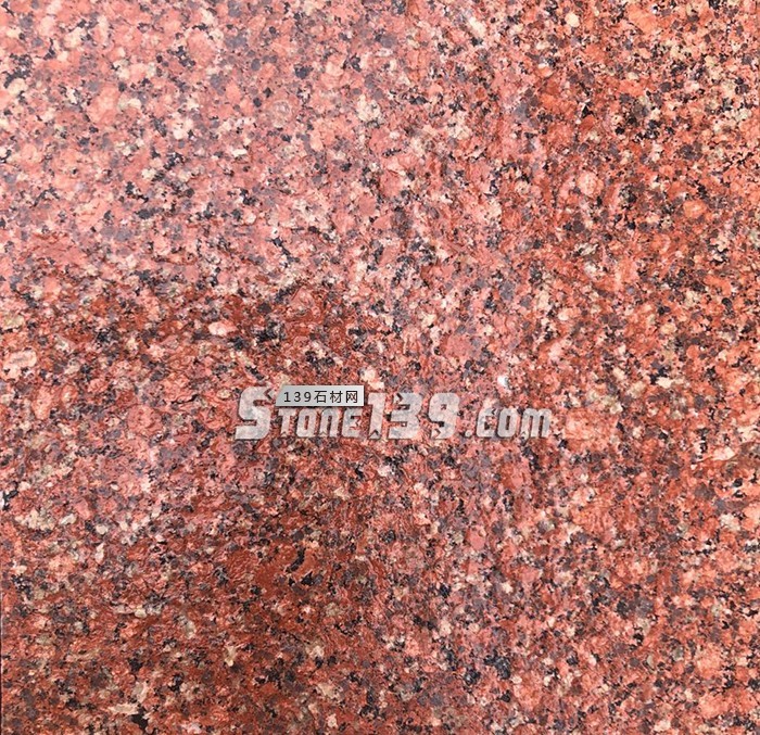 水頭市場“印度紅”遭瘋搶，搶不到也別慌，還有國產印度紅！