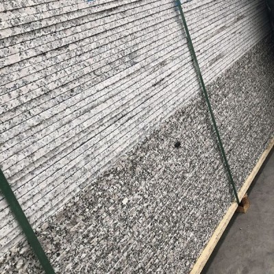 60頭梨花白毛光板批發