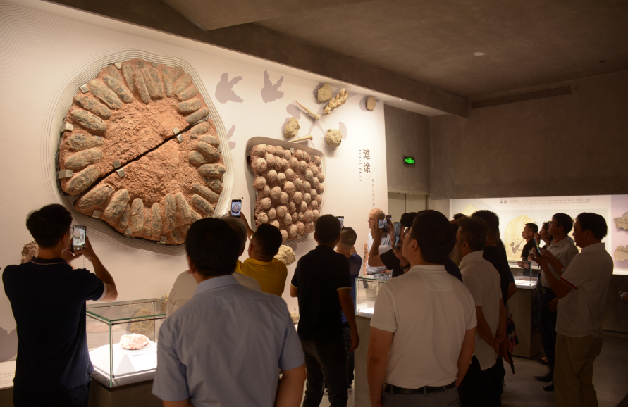 全國工商聯石材業商會四屆二次會長（擴大）會議在海西石材城成功召開