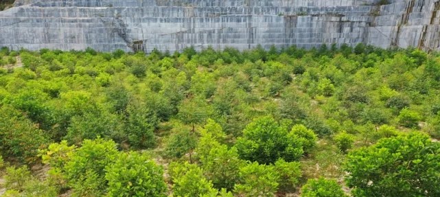 漳浦問題礦山生態圓滿修復，全縣石材企升級27家企業復電復產，獲中國環境報好評