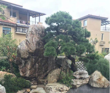 晏輝：用石材做的花盆真的人見人愛，每一款都獨具味道