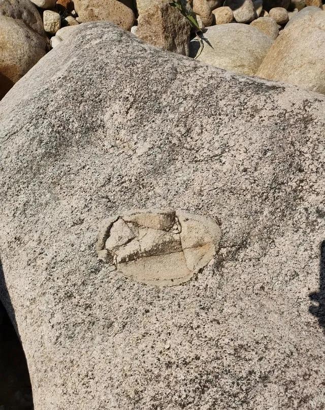 人跡罕至！浙江溫州永嘉這里有條花崗巖石河、平板溪